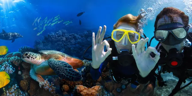 BIG FISH Dive Center Tenerife in Tenerife