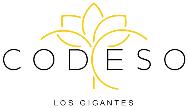 Codeso Restaurant Los Gigantes in Tenerife