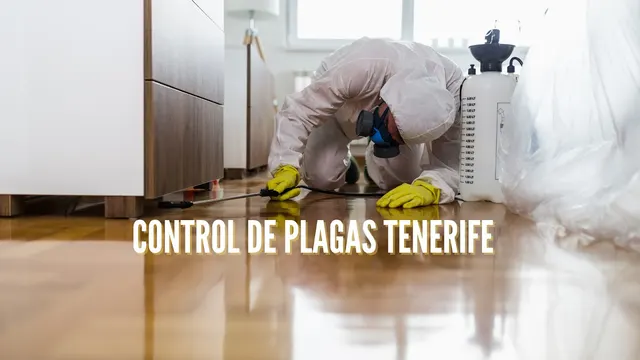 Control Canarias на Тенерифе