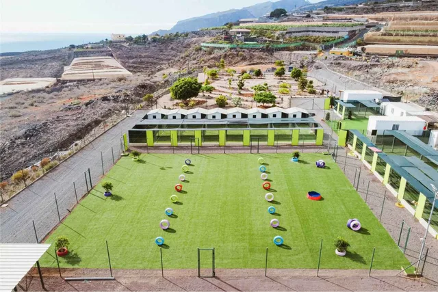 Koala Pets Home in Tenerife