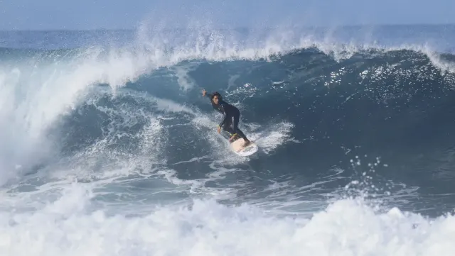 Ocean Life Tenerife Surf School in Tenerife