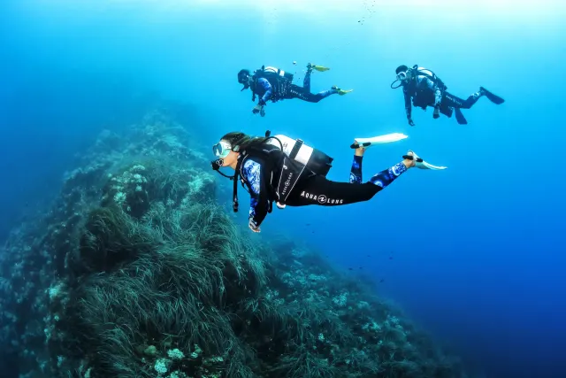 Scubanana Dive Center in Tenerife