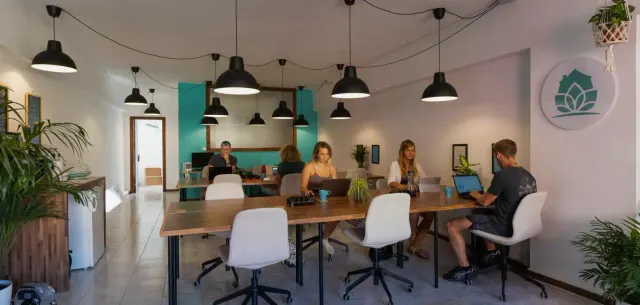 Zen Den Coworking in Tenerife